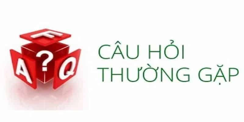 câu hỏi thường gặp