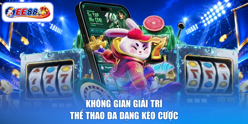 Không gian giải trí thể thao đa dạng kèo cược